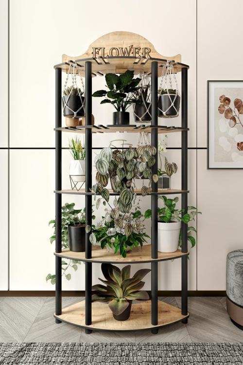 ALLAMANDA ÇİÇEKLİK SAKSILIK MEŞE