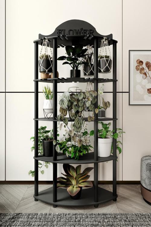 ALLAMANDA ÇİÇEKLİK SAKSILIK SİYAH