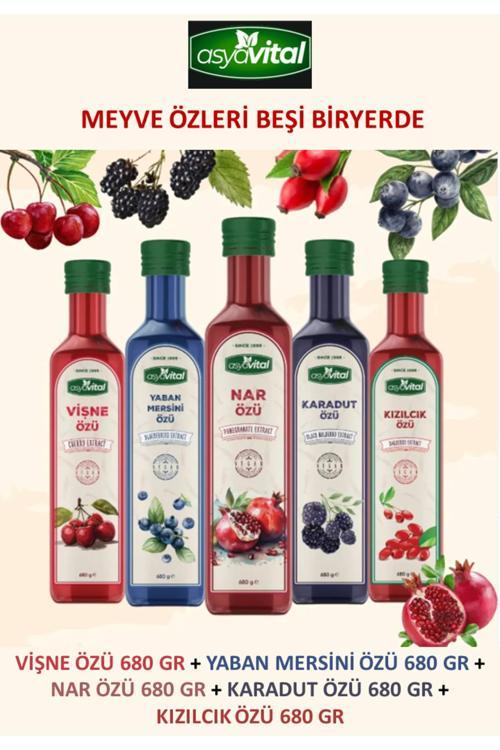 Meyve Özleri Beşi Biryerde. Vişne + Yaban Mersini + Nar + Karadut + Kızılcık (5 Adet X 680 Gr)