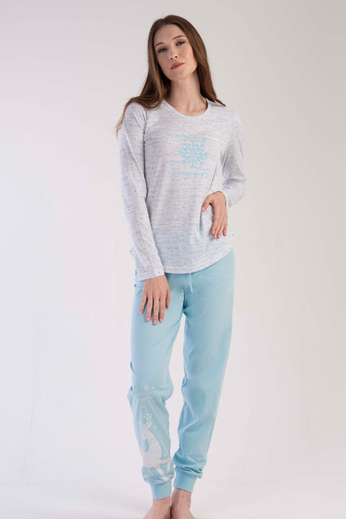 K303123 Vienetta