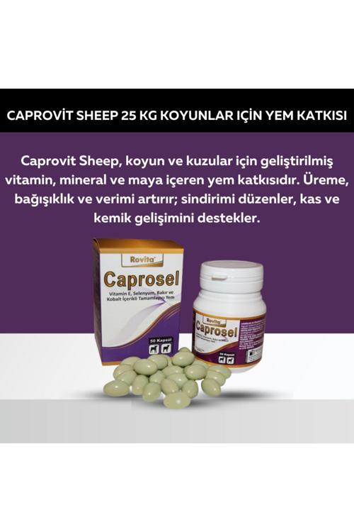 Caprosel 50 Capsul Kuzular Için Selenyum Ve E Vitamini Takviyesi