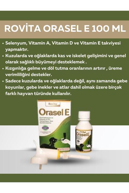 Orasel E 100Ml