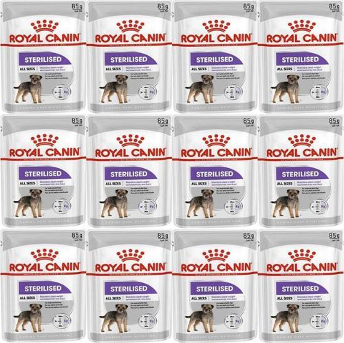 CCN Sterilised Pouch Köpek Yaş Maması 85gr*12 Adet