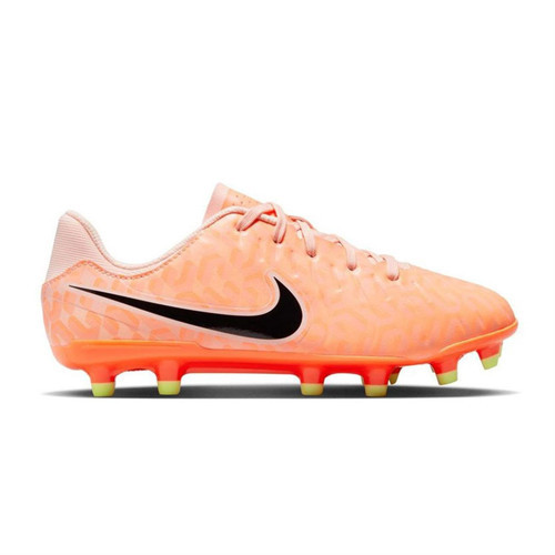 Çocuk Futbol Ayakkabısı Jr Legend 10 Academy Fg/Mg DZ3188-800