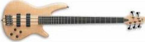 SR1005EFMNTF Bas Gitar