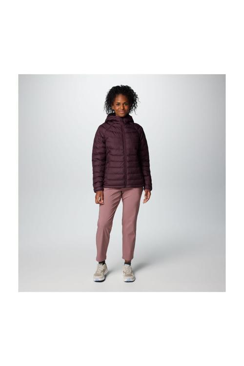 Wk8123 Powder Lıte Iı Hooded Jacket