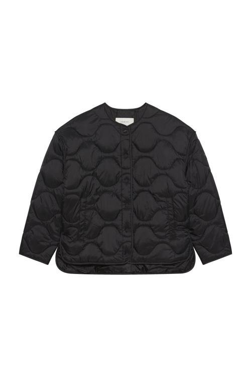 Insulated Lıner Jacket