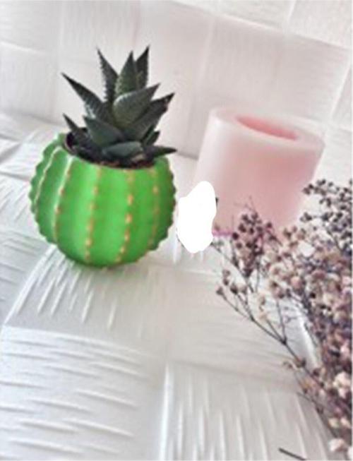 Kaktüs Sukulent Silikon Kalıp