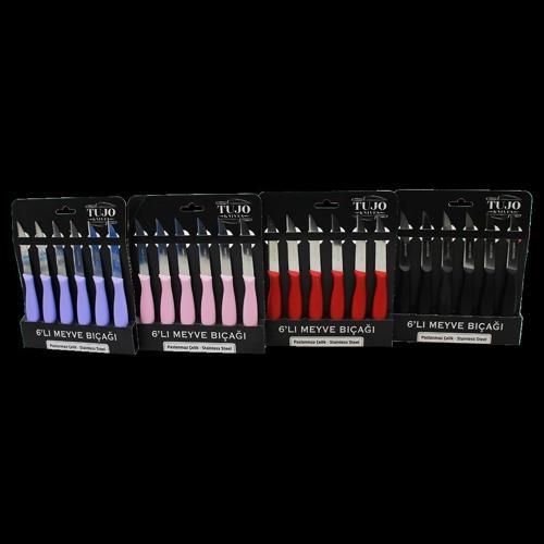 6 PARÇA MEYVE BIÇAK RENKLİ PLASTİK SAPLI (5365)
