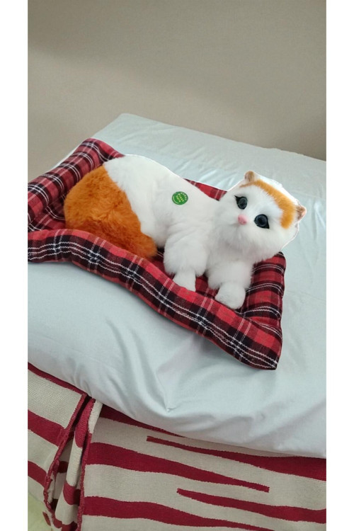 Sevimli Sesli Yatakta Yatan Kedicik Büyük Boy 25 Cm Minder İle Bitişiktir