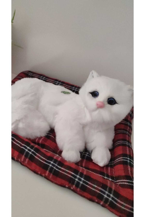 Büyük Boy Sesli Yataklı Kedicik