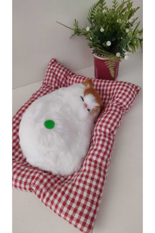Sevimli Sesli Yatakta Yatan Kedicik Büyük Boy 25 Cm Minder İle Bitişiktir
