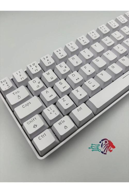 T60 Beyaz Renk Blue Switch Rgb Gaming Oyuncu Klavyesi Mekanik 62 Tuş 18 Ayarlanabilir Led Gaming Klavye
