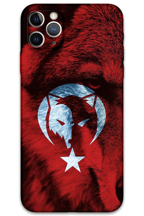 İphone 11 Pro Uyumlu Türk Bayrağı Desenli Telefon Kılıfı + Ekran Koruyucu - 5856