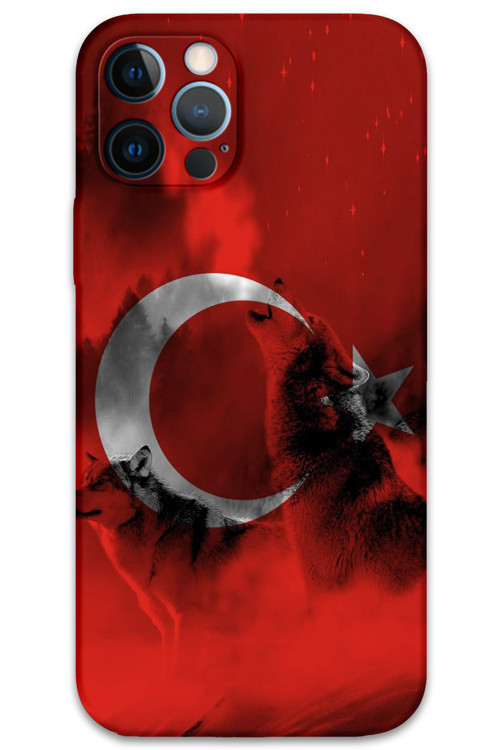 İphone 12 Pro Uyumlu Türk Bayrağı Desenli Telefon Kılıfı + Ekran Koruyucu - 5854