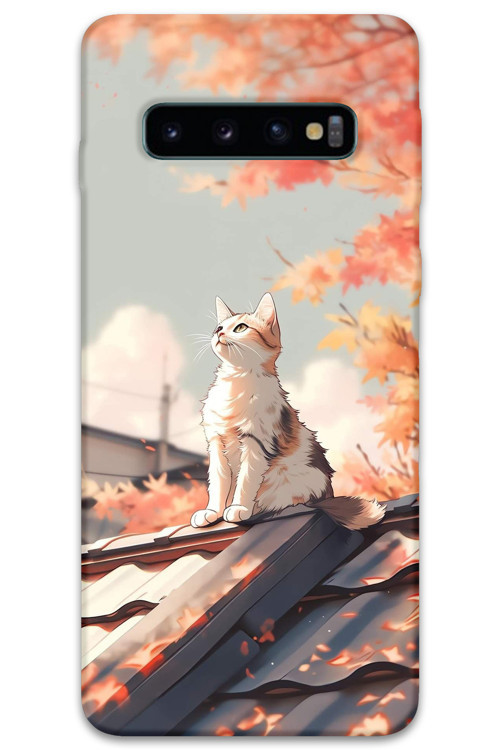 Galaxy S10 Plus Uyumlu Kedi Desenli Telefon Kılıfı + Ekran Koruyucu - 5784