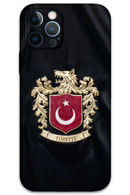 İphone 12 Pro Uyumlu Türk Desenli Telefon Kılıfı + Ekran Koruyucu - 5855