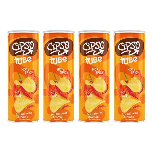 Tube Acı Baharat Aromalı  Cips 160 gr x 4 Adet