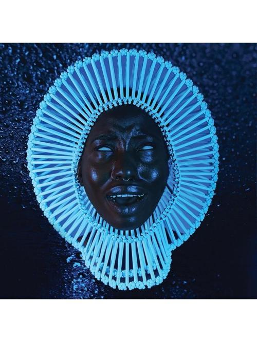 Childish Gambino - Awaken, My Love! / Plak 