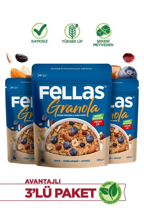 Granola - Yaban Mersini & Kuruyemiş 200g - 3'lü Paket