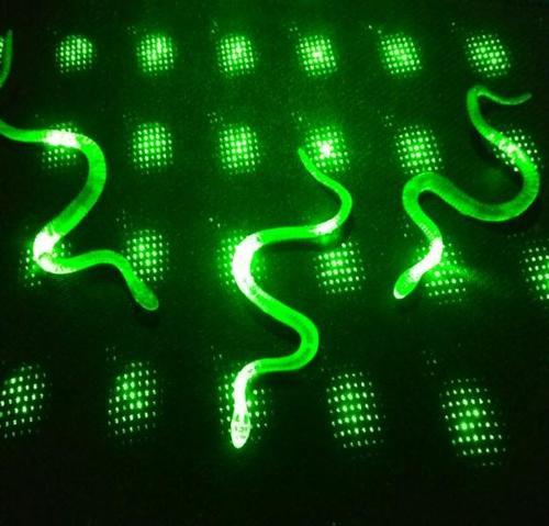 Şaka Yılan Ve Kırkayak Karışık 36 Adet (4915) Go-53-vice/(1395)