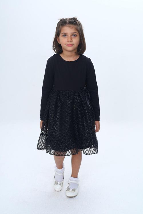 Toontoy Kız Çocuk Fırfırlı Tüllü Elbise