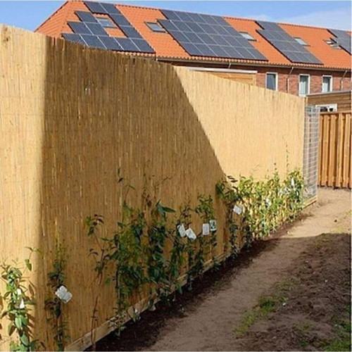 Doğal Kamış Hasır Çit 1,5M X 5M Doğal Bambu -Bahçe Çiti - Gölgelik Hasır -Tavan Dekorasyon
