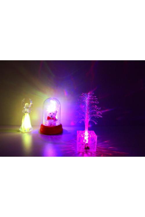 Fanus İçinde Ayıcık, Melek Ve Çam Ağacı Konsept Hediyelikler Huzurlu Ayıcık Rcb Led Gece Lambası