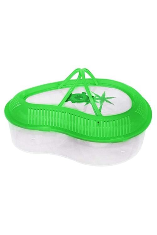 Tisert Kapaklı Renkli Kaplumbağa Bahçesi