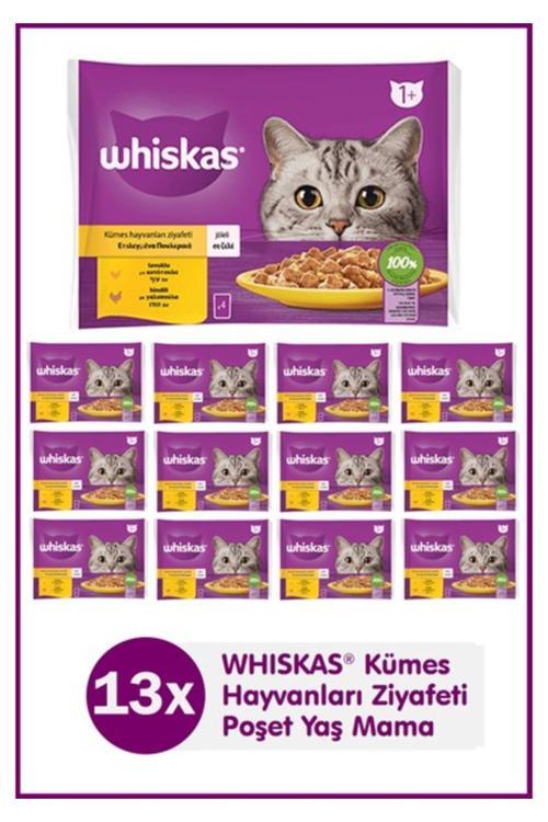 Tavuklu ve Hindili Yetişkin Kedi Yaş Maması 4X85 gr (13 Paket,52 Adet Tekli)
