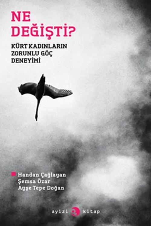 Ne Değişti? - Kürt Kadınlarının Zorunlu Göç Deneyimi