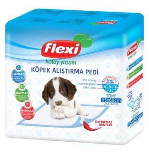Köpek Çiş Eğitim Pedi 60 x 60 cm 10 Adet