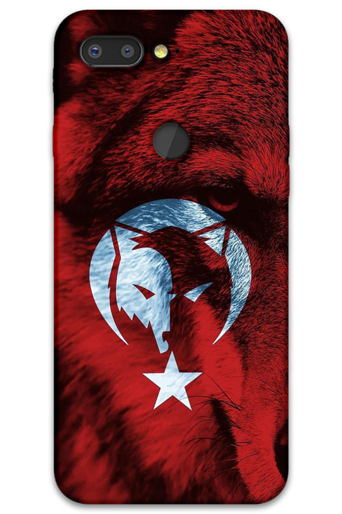 Gm 9 Pro Uyumlu Türk Bayrağı Desenli Telefon Kılıfı + Ekran Koruyucu - 5856