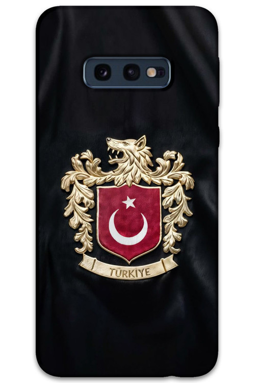 Galaxy S10E Uyumlu Türk Desenli Telefon Kılıfı + Ekran Koruyucu - 5855