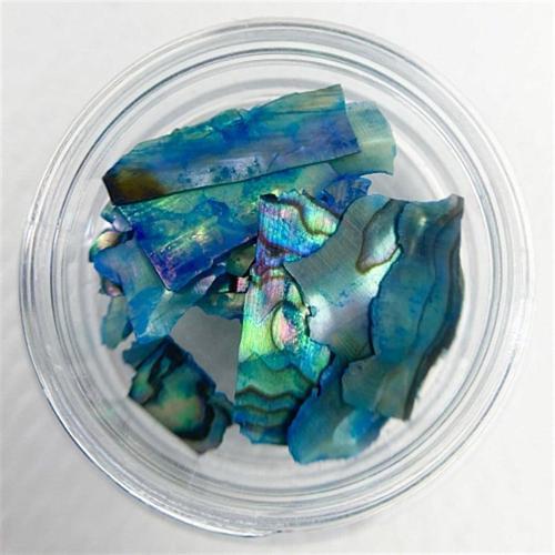 Doğal Deniz Kabuğu Mavi (2) 1 gr