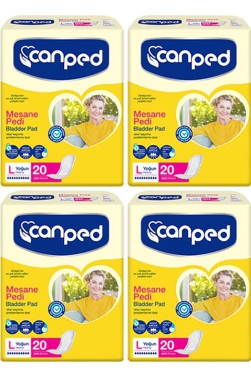Mesane Pedi Avantaj Paketi Yoğun Büyük Boy L 20'Li x 4 80 Adet