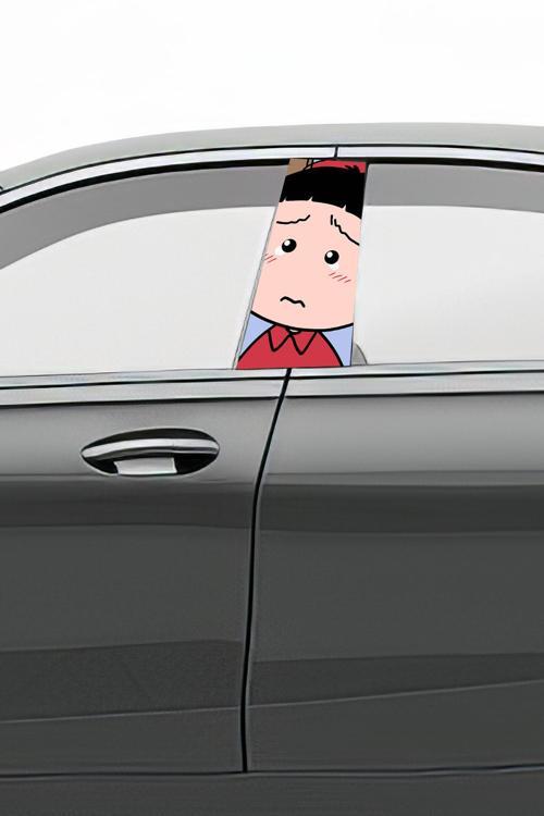 Araç Kapı Direk Kaplama Folyosu Desenli (Sağ Sol Takım) (2 Adet) - 22x50 Cm