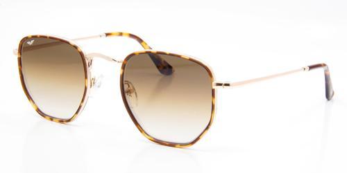 FR4845-C02 51 Unisex Güneş Gözlüğü