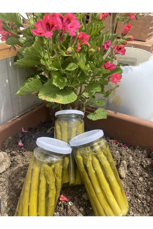 Kuşkonmaz Konservesi