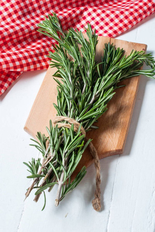 40 Gram Doğal Taptaze Biberiye Otu 40 Gr. Fresh Rosemary Dalından Evinize Taze