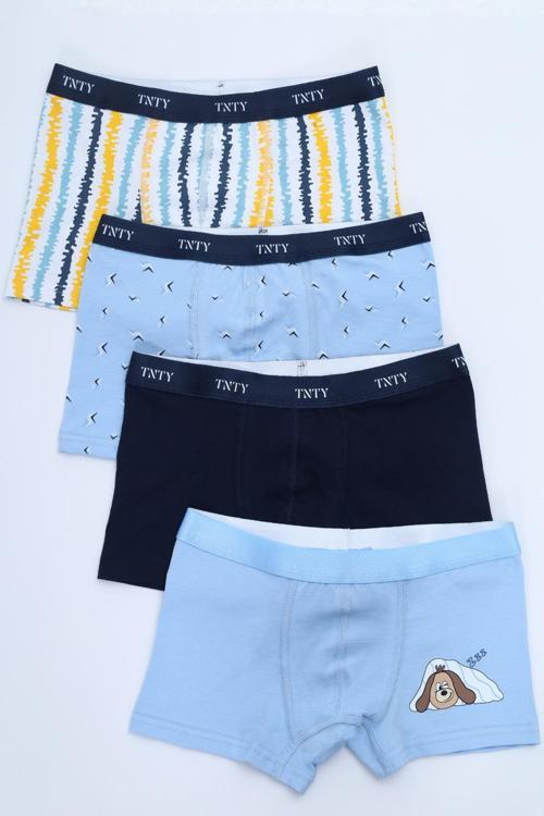 Toontoy Erkek Çocuk Baskılı Desenli 4lü Paket Boxer 