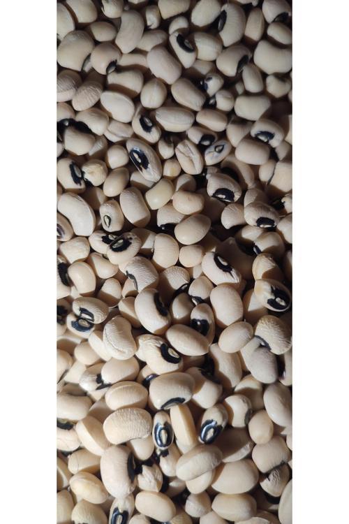 Organik Kuru Börülce (1Kg)