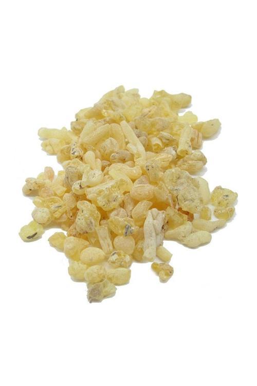 Sandaloz Sakızı 500 Gr