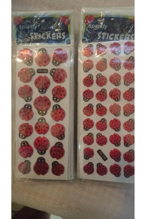 Sparkly Stıckers Uğur Böceği Temalı Kabartma Stıcker 2 Kartela