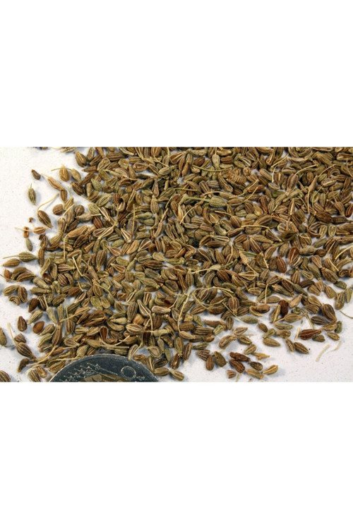 Anason 500Gr