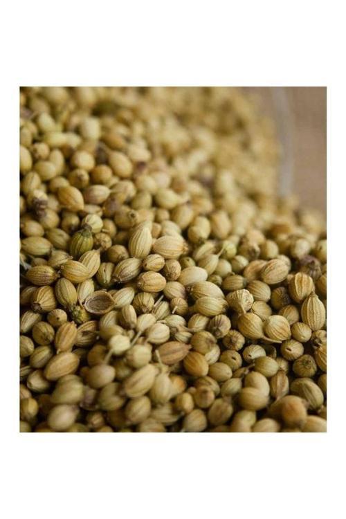 Kişniş Tohumu(Küzbere) Aş Otu 250 Gr