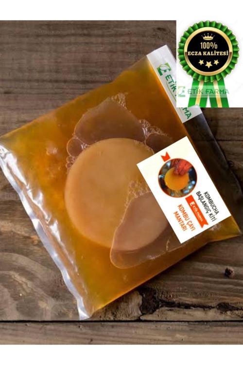 Özel Üretim Organik Kombucha Özel Başlangıç Kiti - Kombu Mantarı - Kombucha Mantarı Çayı