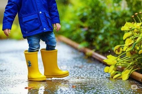 Konçlu Erkek Çocuk Yağmur Çizmesi 26-35 Sarı