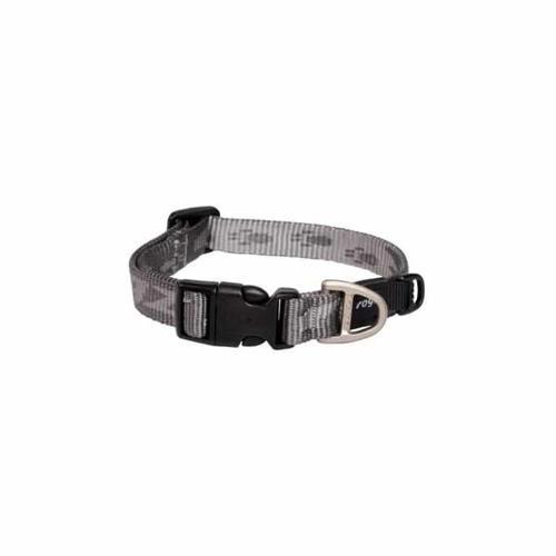 Alpinist Halsband L Platinum Boyun Tasması