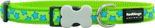 Reddingo Lime Üzerine Turkuaz Yıldızlı Köpek Boyun Tasması L 25mm /41-63 cm